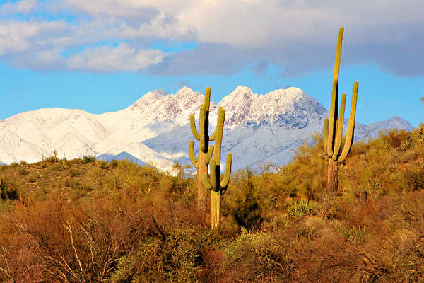 Four Peaks Arizona Desert Landscape Print