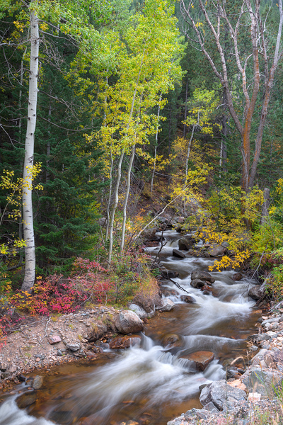 Tranquility on the Stream  Print