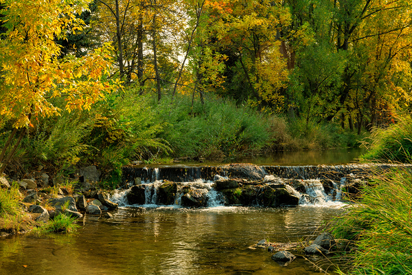Lefthand Creek Longmont Autumn View Print