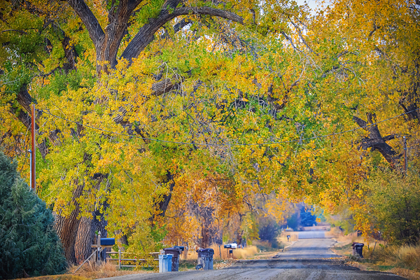 Awesome Country Road Print