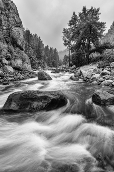 Colorado Black White Canyon Portrait Digital Download