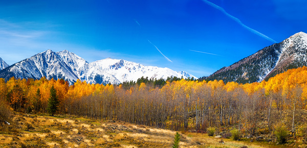 Colorado Rocky Mountain Independence Pass Fall Pano Digital Download
