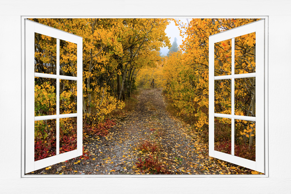 Colorful Trees Down the Drive White Open Window Digital Download