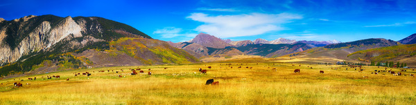 Crested Butte Panorama1 Digital Download