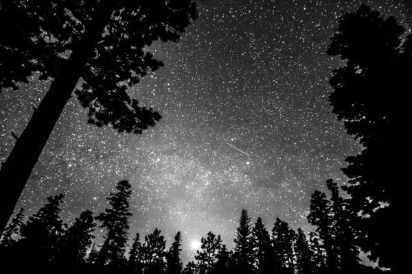 Dark Stellar Universe Deep Into The Night Digital Download