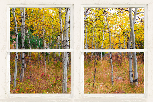 Happy Forest  Autumn Season Rustic Window View Digital Download