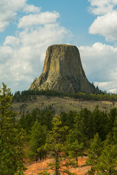 Majestic Devils Tower in Wyoming Surrounded by Pine Forest Téléchargement Numérique