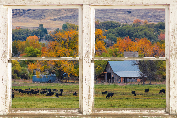 Pretty Colorful Country Rustic Window Frame Digital Download