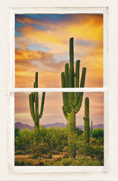 Southwest Desert Sunset View White Window Digital Download
