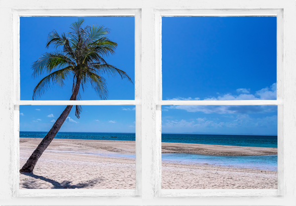 Tropical Paradise Whitewash Window View Téléchargement Numérique