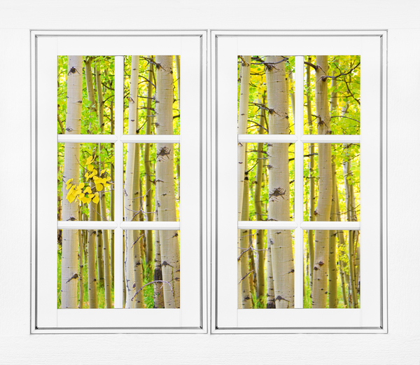 Aspen Forest White Picture Window Frame View Téléchargement Numérique