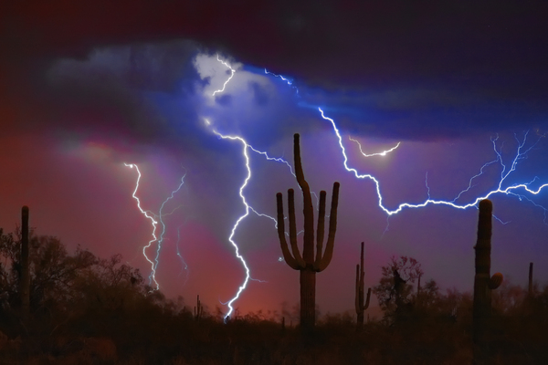Saguaro Lightning Storm Téléchargement Numérique