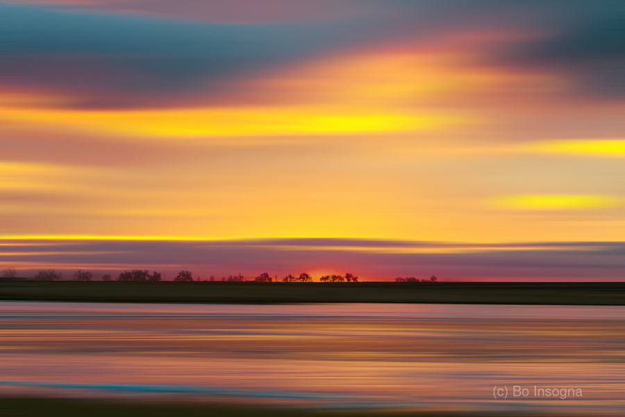 Colorful Tree Line  Imprimer