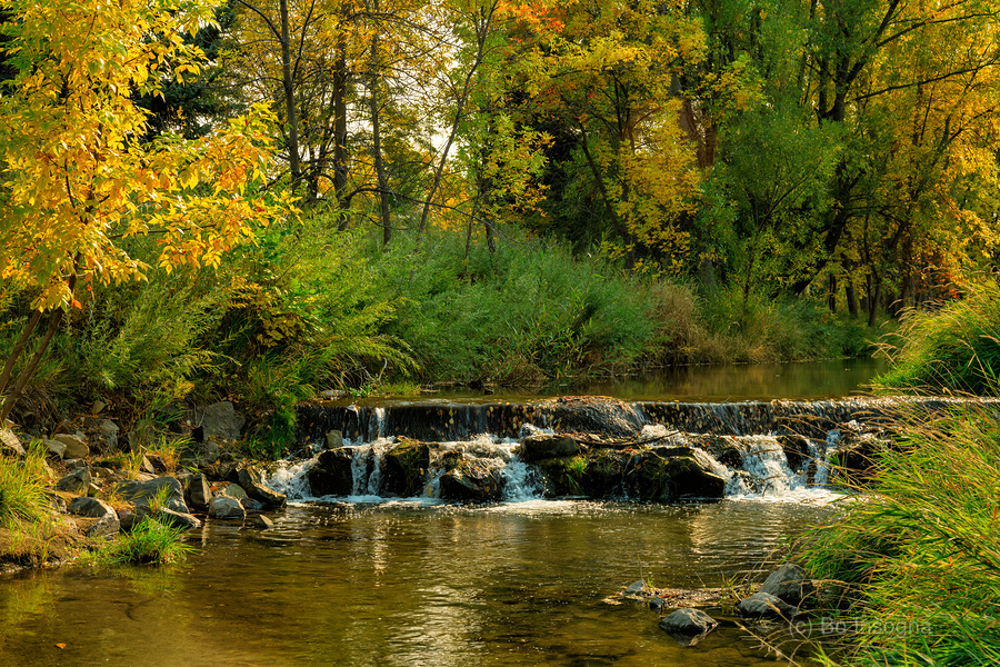 Lefthand Creek Longmont Autumn View  Print