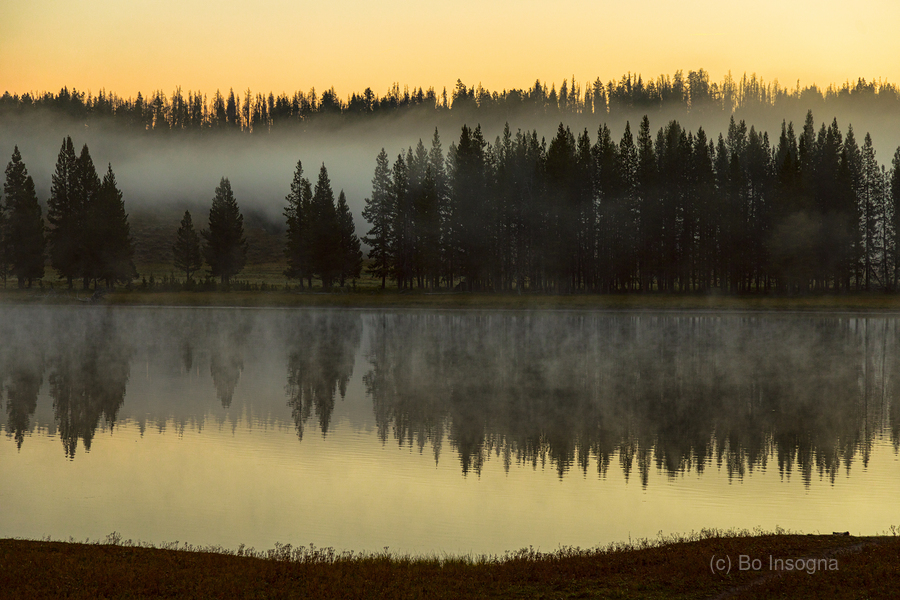Yellowstone Wyoming Foggy Forest Lake Reflection Fine Art Print  Print