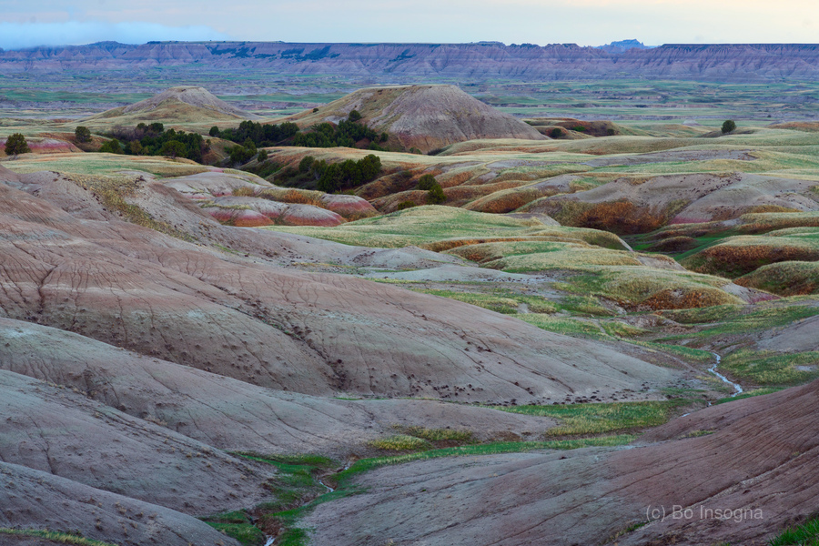 South Dakota Badlands and Colorful Morning Grasslands  Print