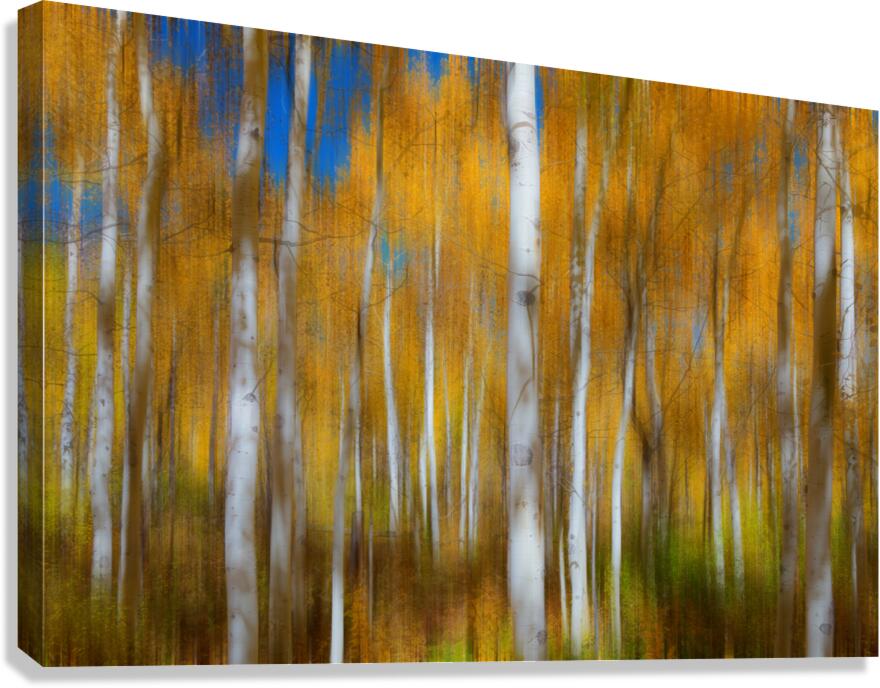 Sleepy Hollow Canvas Print