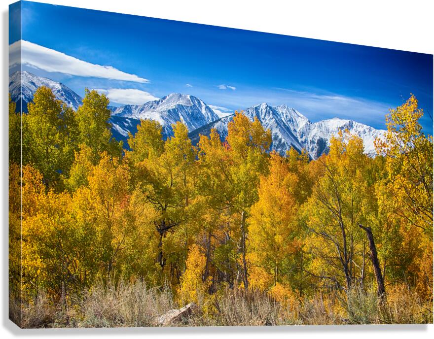 Independence Pass Autumn View Canvas Print