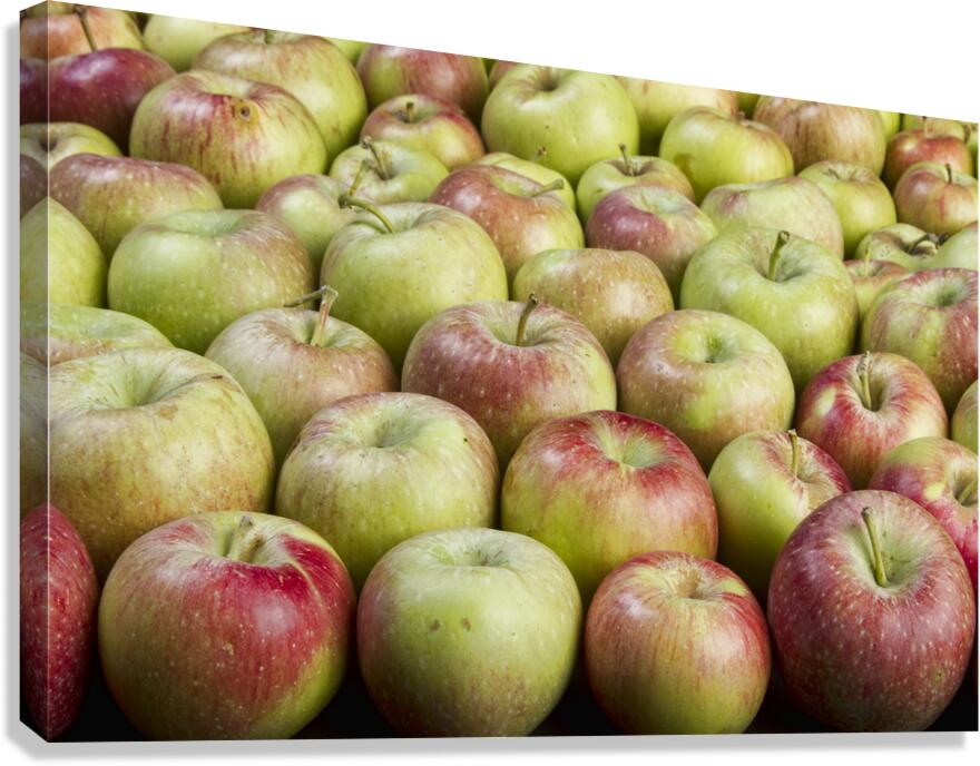 How about Them Apples Canvas Print