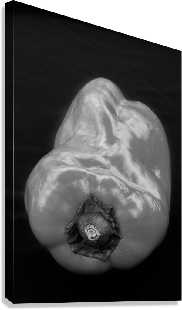 Red Pepper Bringing Sexy Back Black and White Canvas Print