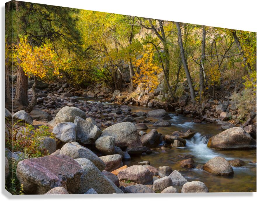 Gentle Stream Canvas Print