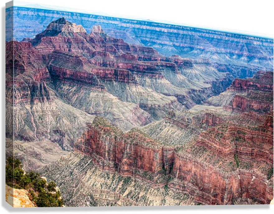 A Look Into The Grand Canyon  Canvas Print