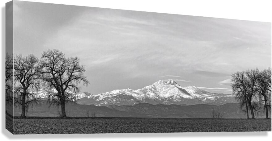 Twin Peaks Between The Trees BW Panorama Canvas Print