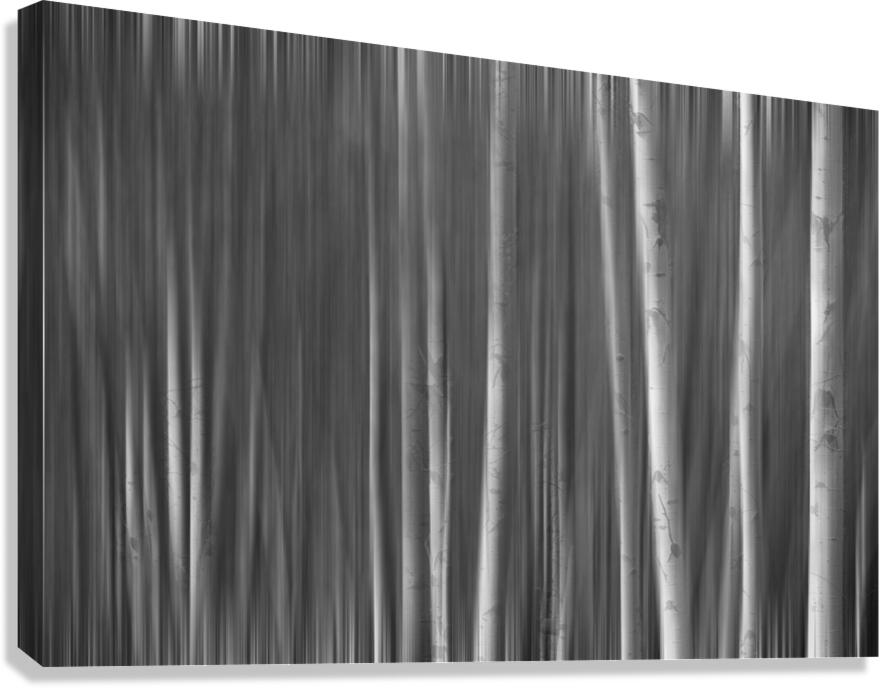 Somewhere Along the Road Canvas Print