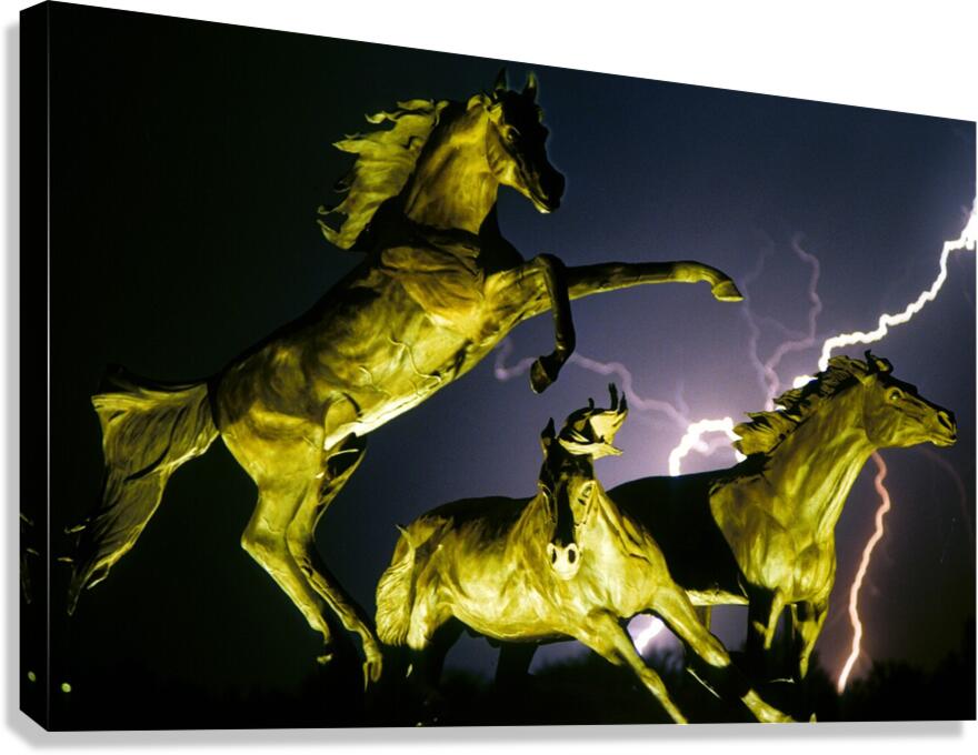 Horse World Canvas Print
