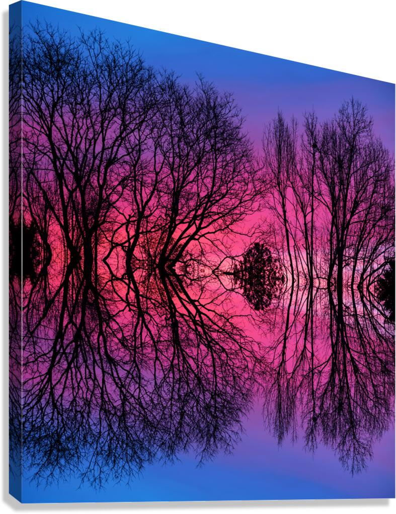 Morning Glow Tree Abstract Canvas Print