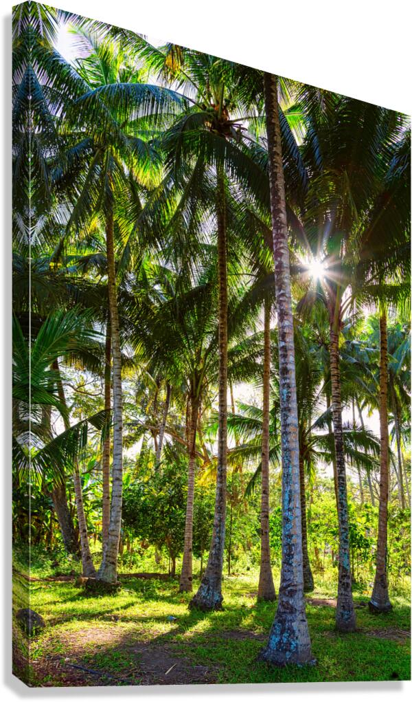 Tropic Sunshine Canvas Print