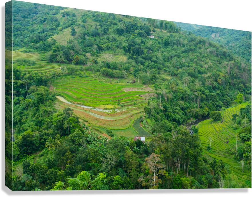Mountain Rice Fields of Negros Island Emerald Tranquility Canvas Print