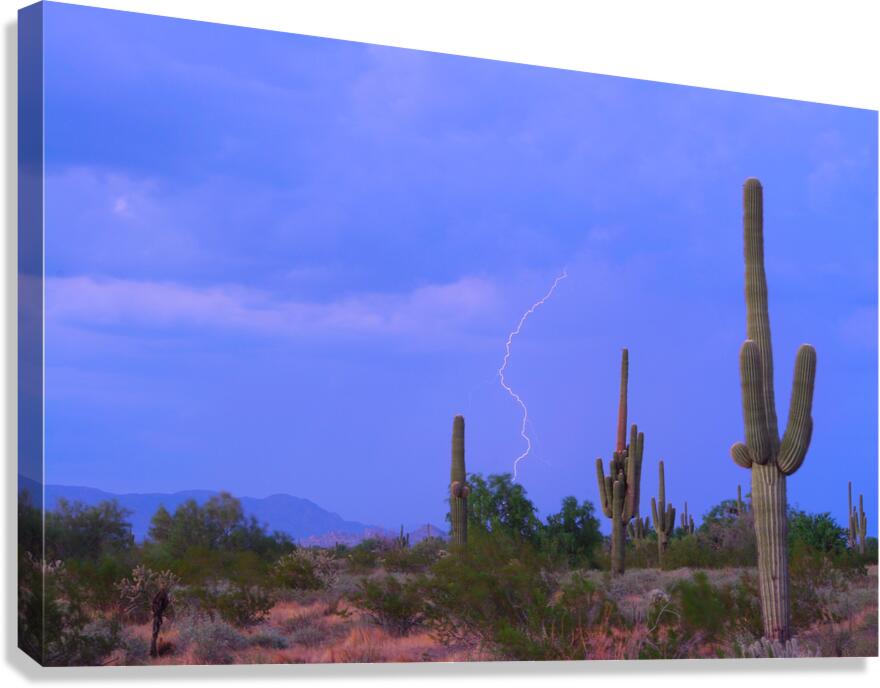 Southwest Sonoran Desert Lightning Strike Canvas Print