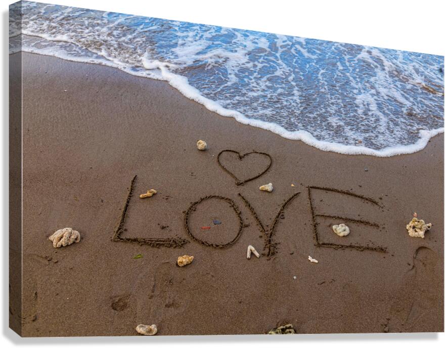 Ocean Love Canvas Print
