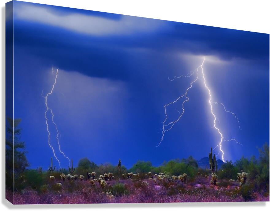 Colorful Sonoran Desert Storm Canvas Print