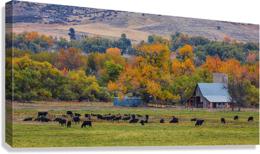Just A Pretty Country Landscape Canvas Print
