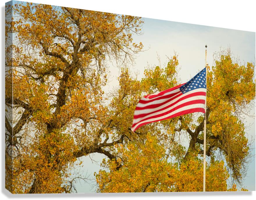 Glory Glory Canvas Print