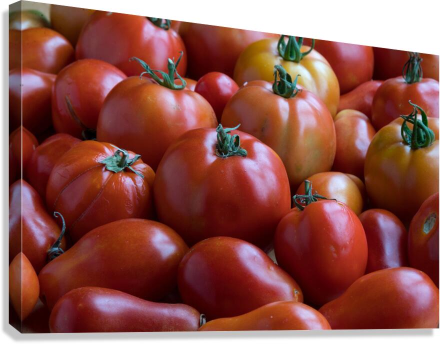 Roma Super Fantastic Tomatoes Fine Art Photography Wall Art Canvas Print