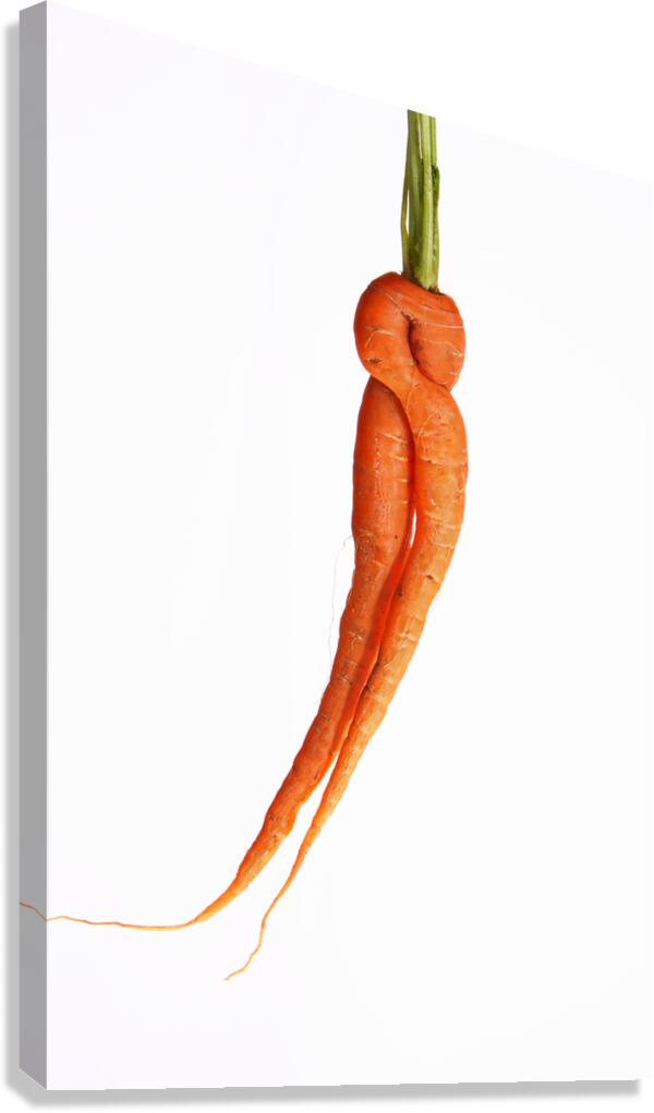 Dancing Carrot Wall Art Canvas Print