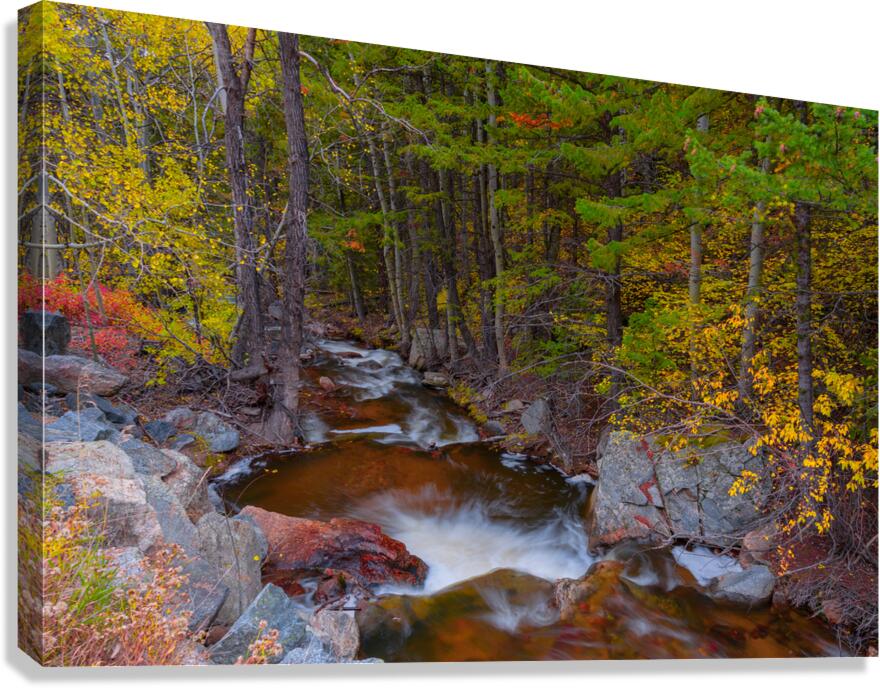 Tranquil Autumn Creek in a Rocky Mountain Forest Canvas Print
