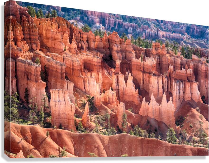 Bryce Canyon Utah Hoodoos Views Canvas Print