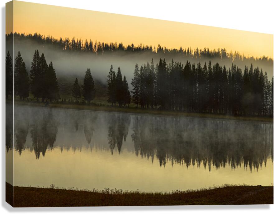 Yellowstone Wyoming Foggy Forest Lake Reflection Fine Art Print Canvas Print