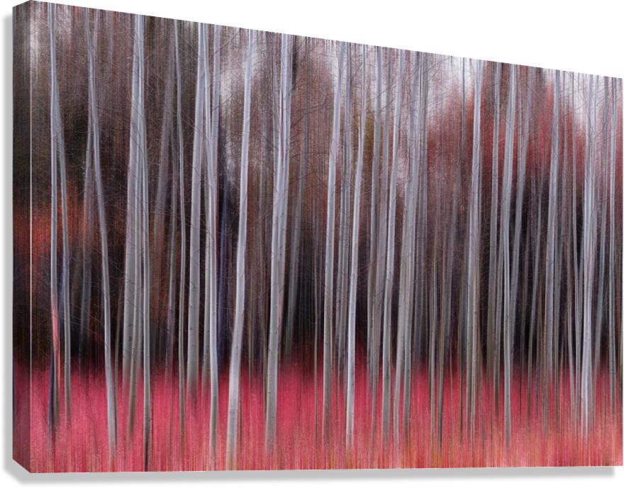 Crimson Silence in Motion Fine Art Forest Photography Print Canvas Print