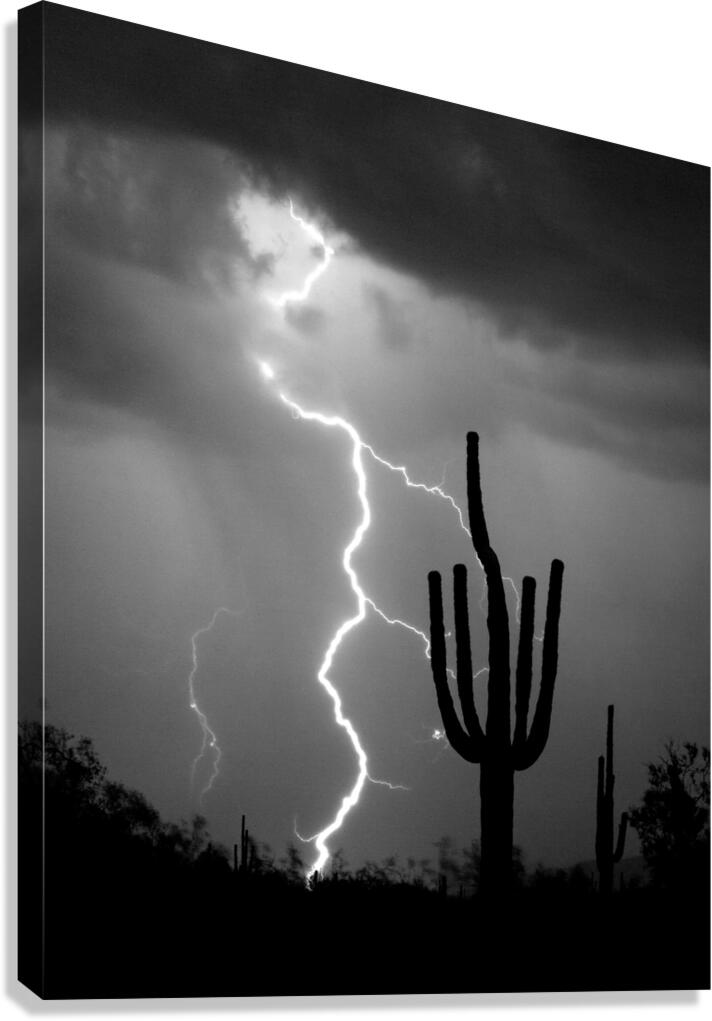 Black and White Lightning Over Arizona Desert Saguaro Canvas Print
