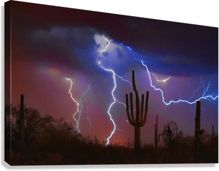 Saguaro Lightning Storm  Canvas Print