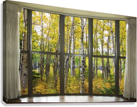 Autumn Forest Bay Window View  Canvas Print