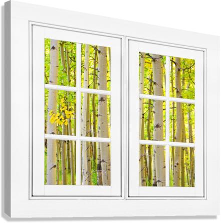 Aspen Forest White Picture Window Frame View  Impression sur toile