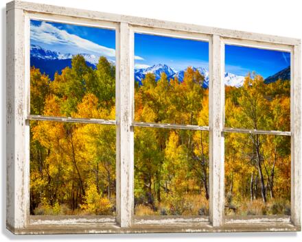 Independence Pass Autumn Colors White Barn Window  Canvas Print