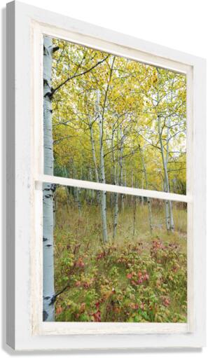 Forest Delight  White Window View  Impression sur toile