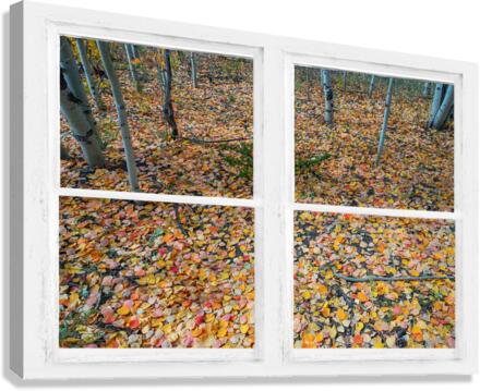 Mother Nature Whitewash Picture Window View  Canvas Print